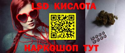 мдпв Славгород