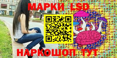 дурь Сланцы