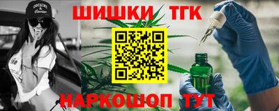 мдпв Славгород