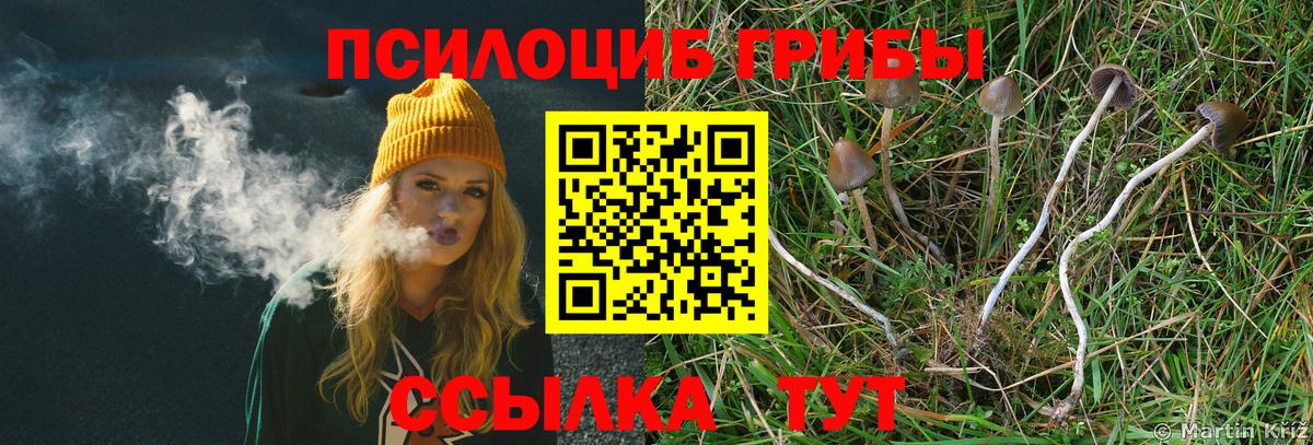 Псилоцибиновые грибы GOLDEN TEACHER Волгодонск