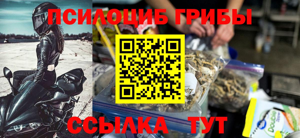 Галлюциногенные грибы Psilocybine cubensis  Вход с VPN  Волгодонск  Галлюциногенные грибы мухоморы 